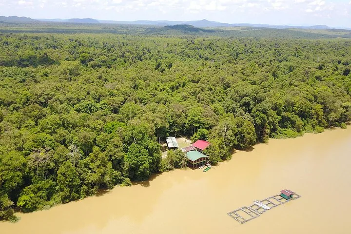 Vue aérienne d'un lodge au bord d'une rivière boueuse entourée de forêt tropicale.